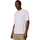 Textil Homem T-Shirt mangas curtas Columbia Cedar Trail Back Graphic Tee Branco