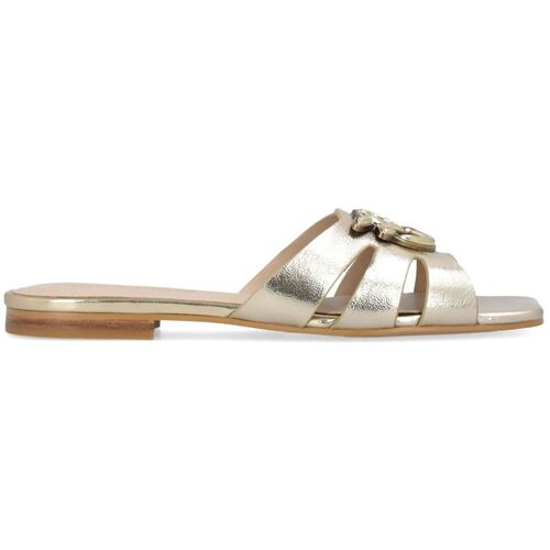 Sapatos Mulher Chinelos Pinko SD0313P049 Ouro