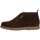 Sapatos Homem Botas Barbour Botas Tucker Suede Chukka Castanho