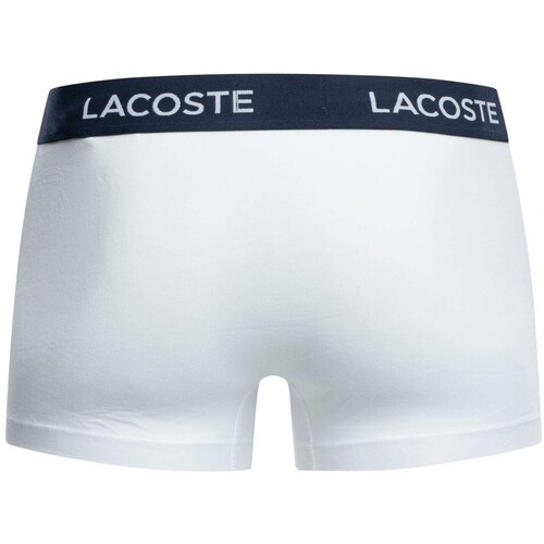 Lacoste 3 packs de calções elásticos de algodão Multicolor