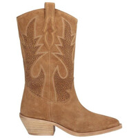 Sapatos Mulher Botas Alpe 5355 Castanho