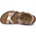 Sapatos Rapaz Sandálias BIRKENSTOCK RIO HL KIDS ELECTRIC METALLIC CALZ S Castanho