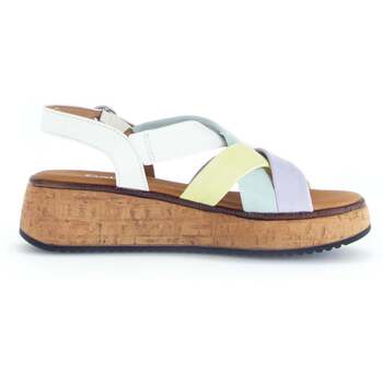 Sapatos Mulher chinelos Gabor 62.823.22 Multicolor
