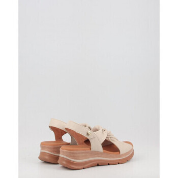 Paula Urban 24-335 