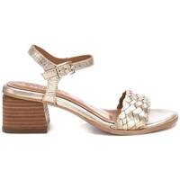 Sapatos Mulher Sandálias Carmela 16238002 Ouro