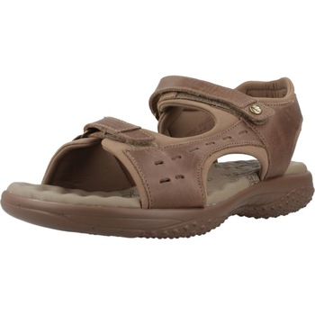 Sapatos Mulher Sandálias Panama Jack NILO BASICS B4 Castanho