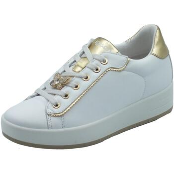 Sapatos Mulher Sapatilhas IgI&CO 7655200 Nappa Soft Bianco Branco