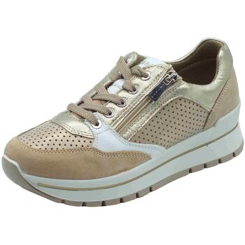 Sapatos Mulher Sapatilhas IgI&CO 7660733 Scam Vit Lam Bege