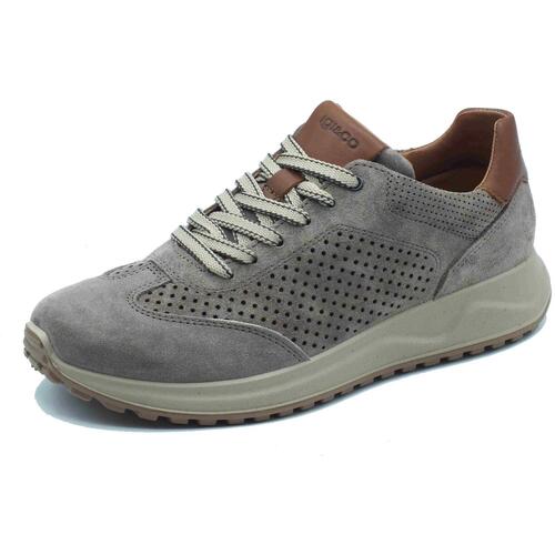 Sapatos Homem Sapatos & Richelieu IgI&CO 7634744 Scamosciato Cinza
