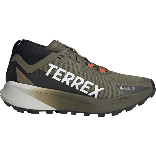 Sapatos Homem Running adidas Originals TERREX AGRAVIC GTX Verde