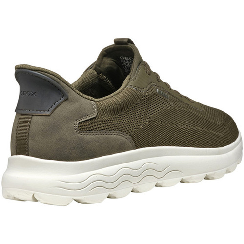 Geox  Verde