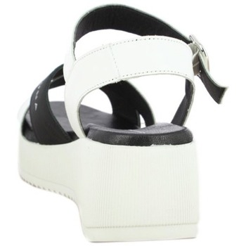 Hannibal Laguna ASCOT-03 Branco