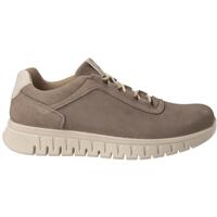 Sapatos Homem Sapatilhas IgI&CO  Cinza