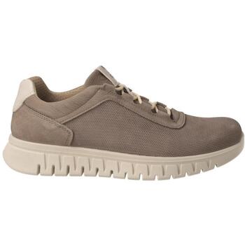 Sapatos Homem Sapatilhas IgI&CO  Cinza
