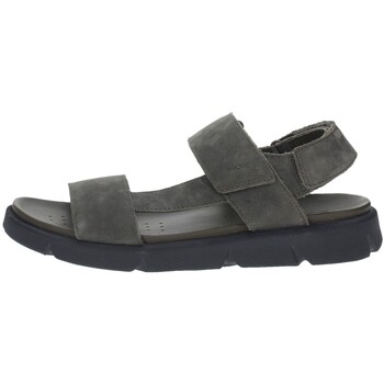 Sapatos Homem Sandálias Geox  Verde