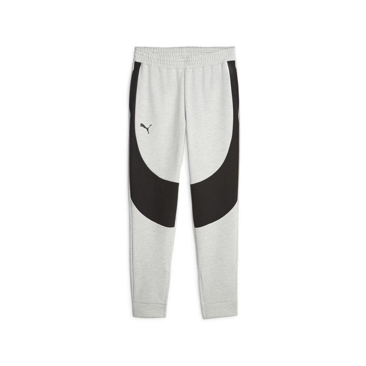 Textil Homem Calças de treino Puma  Cinza