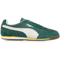 Sapatos Homem Sapatilhas Puma Arizona Nylon Verde