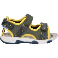 Sapatos Rapaz Sandálias Geox B450FA 014CE B SANDAL MULTY B450FA 014CE B SANDAL MULTY