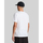 Textil Homem T-Shirt mangas curtas Lyle & Scott TS400TON Branco