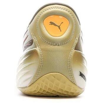 Puma  Castanho