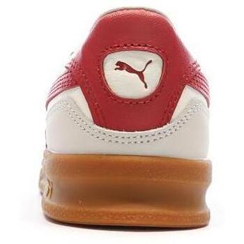 Puma  Rosa