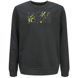 Textil Rapaz Sweats Jack & Jones  Cinza