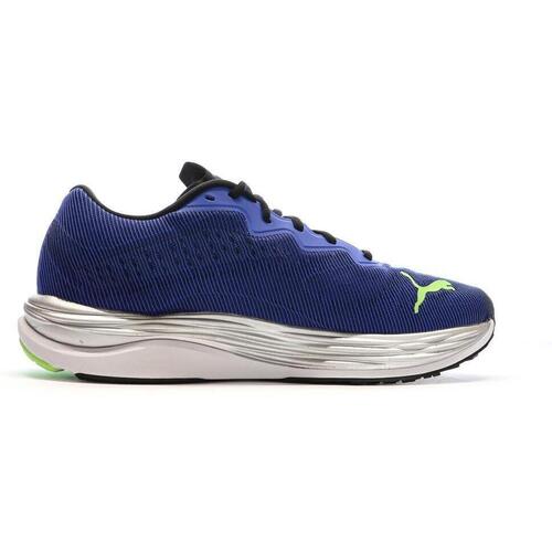 Puma  Azul