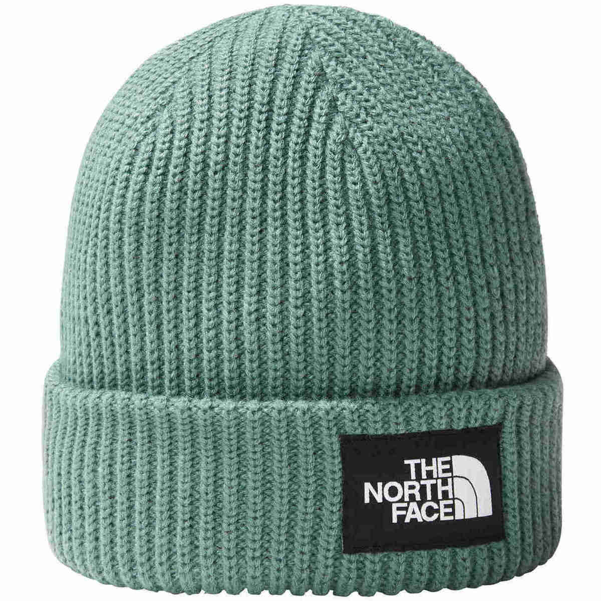 Acessórios Chapéu The North Face SALTY LINED BEANIE Verde
