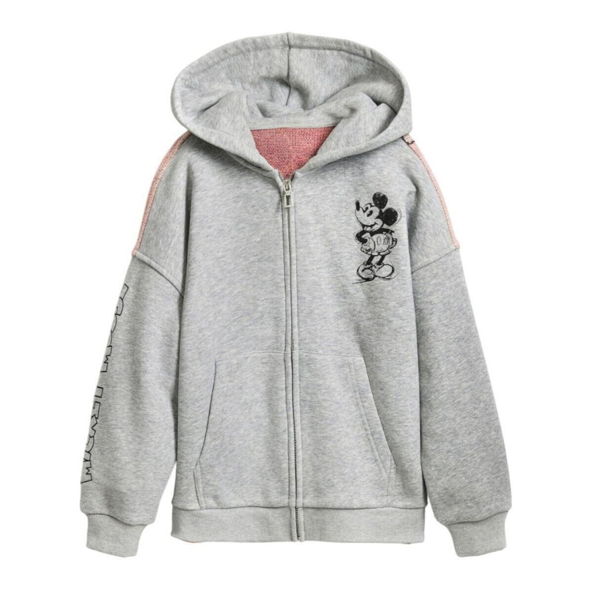 Textil Rapariga Sweats Desigual  Cinza