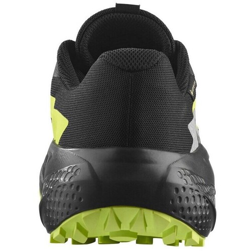 Salomon Alphaglide Gtx Preto, Verde