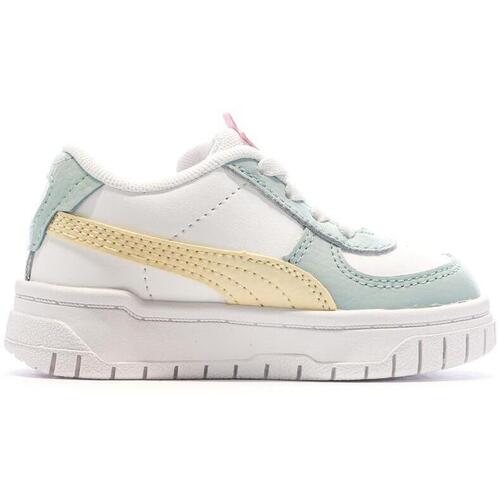 Puma  Verde