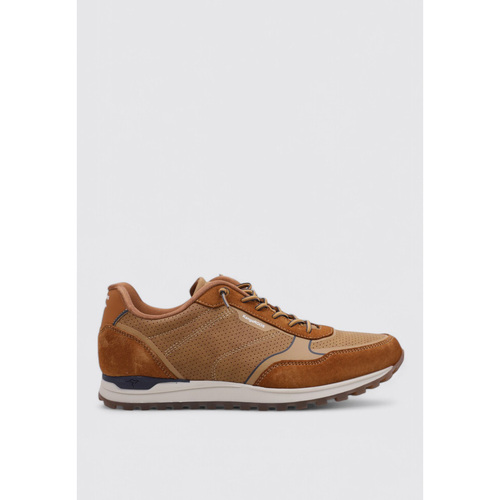 Kangaroos 841 Castanho