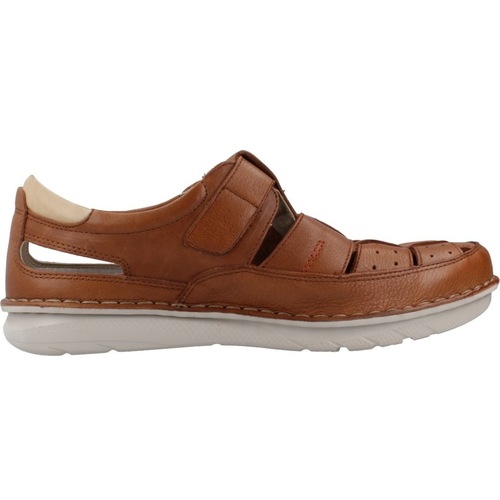 Fluchos F2003 Castanho