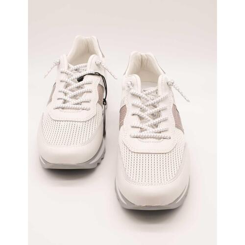 Cetti  Branco