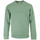 Textil Homem camisolas Timberland Hampthon Crew Neck Verde