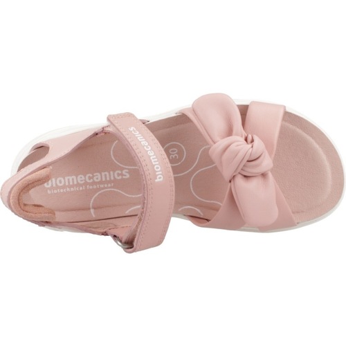 Biomecanics 252225B Rosa