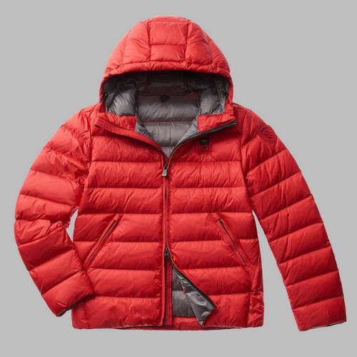 Textil Homem Casacos  Blauer GIUBBINI CORTI IMBOTTITO Vermelho
