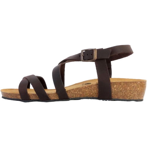 Sapatos Mulher Sandálias Plakton 250991 Castanho