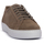 Sapatos Homem Sapatilhas Exton TAUPE CAMOSCIO Castanho