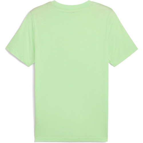 Puma _M_GRAPHICS Multiple Ca Verde