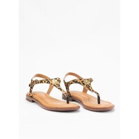 Sapatos Mulher Sandálias The Happy Monk 37094 Outros
