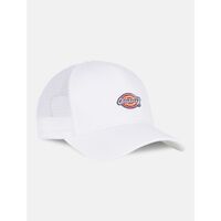 Acessórios Chapéu Dickies HANSTON TRUCKER DK0A4YV3-C581 CLOUD Bege