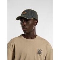 Acessórios Homem Chapéu Dickies DAD CAP - DK0A867HK581-YELLOW FADED Azul