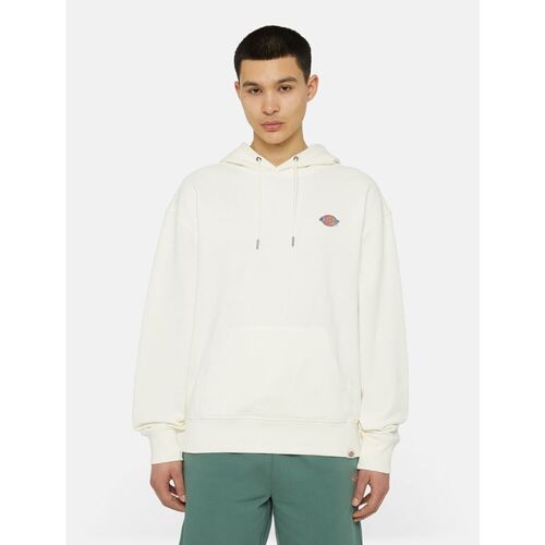 Textil Homem Sweats Dickies MILLERSBURG HOODIE DK0A4YLY-ECR1 ECRU Branco