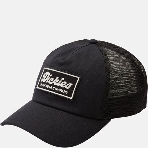 Acessórios Chapéu Dickies LEWISTOWN - DK0A4Z6M-BLACK Preto