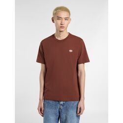 Textil Homem T-shirts e Pólos Dickies MAPLETON TEE SS DK0A4XDB-K471 CAPPUCCINO Castanho