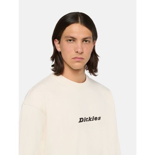 Dickies ENTERPRISE - DK0A4Z4K-F90 WHITECAP GREY Cinza