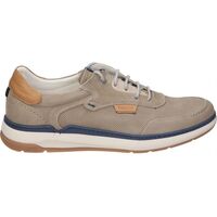 Sapatos Homem Sapatos & Richelieu Fluchos F2210 Bege