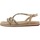 Sapatos Mulher Sandálias ALMA EN PENA V2551606 Castanho