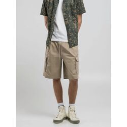 Textil Homem Shorts / Bermudas Replay M9026.84909-829 BEIGE Bege
